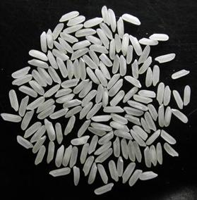 Processed rice grains